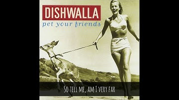 Dishwalla   Counting Blue Cars (with Lyrics)