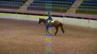 Hunter Hack All Ages