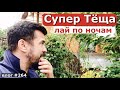 ЛАЙ ПО НОЧАМ | ЧТО ТВОРИТ МОЯ ТЁЩА | ИЗМЕНЕНИЕ НА УЧАСТКЕ | ДЕТСКАЯ СПАЛЬНЯ | Переезд из Москвы