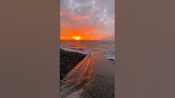 سورة الضحى بصوت الشيخ محمد العريفي #سورة #سورة_الضحي #مشاري_العفاسي