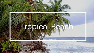 Tropical Beach Sounds for Deep Sleep | Relaxing Ocean Waves Ambience (No Music)