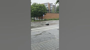 Delivery robots in Finland are so cute 😍 #shortvideo #shorts #short #robot  #lifeinfinland #cute