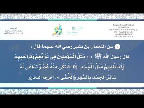 حديث ١م ف٢ م ث ل ال م ؤ م ن ين ف ي ت و اد ه م و ت ر اح م ه م