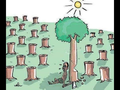 صور ذات معاني معبرة حاول تفسرها