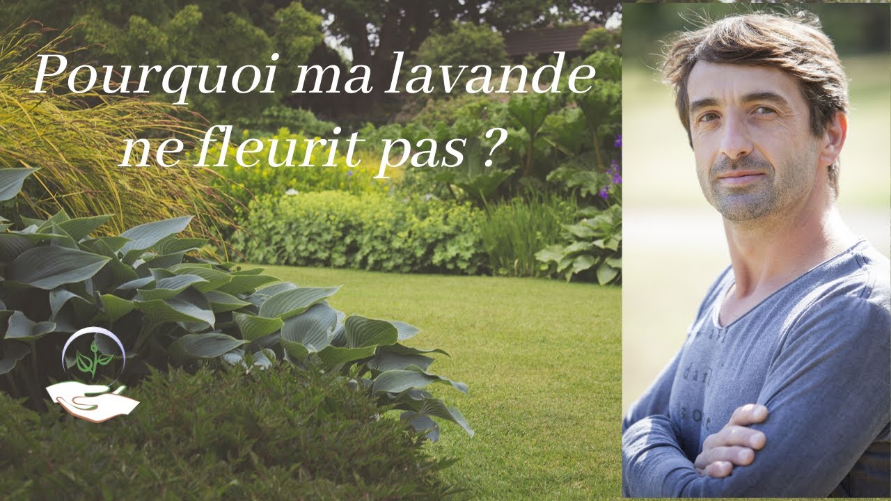 😲Pourquoi ma plante ne fleurit pas ? YouTube