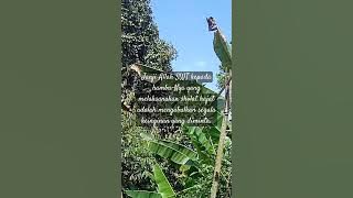 Shalat hajat #shorts #quotesislami #ustadzabdulsomad #ceramah #shalathajat #quotes #storywa #doa