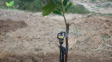 Béc tưới bù áp AQ206PC 62 lít cho cây mít, dừa (Việt An Nông)