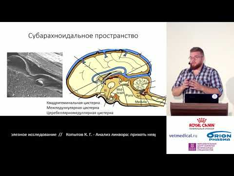 Копытов К. Г. - Анализ ликвора