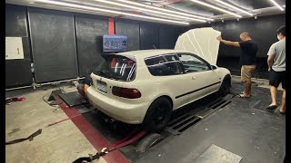 JDM D16A VTEC DYNO (USDM D16Z6) | 4K