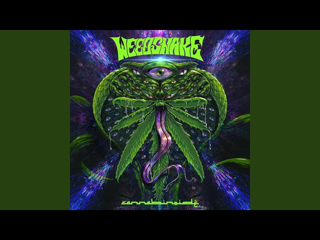 Weedsnake - Drogadicto