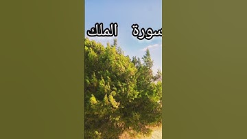 ايات عطره من سورة الملك #القرآن_الكريم #تلاوة_خاشعة #المصحف #اكسبلور #راحة_نفسية #القرآن_الكريم