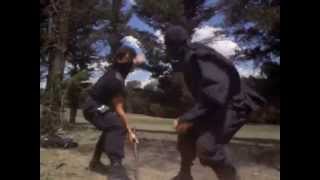 American Ninja 4: David Bradley vs Ninjas