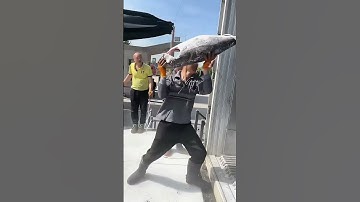 How Smart People Unload Frozen Fish from a Container Truck