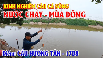 Kinh Nghiệm Câu Cá Sông NƯỚC CHẢY - MÙA ĐÔNG | Điểm Câu Diếc Chép: Cầu Hướng Tân - Nam Hà - 17B8