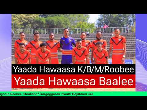 Rakkoo Garee Kubbaa Miilaa Bulchiinsa Magaala Roobee Maaliidha