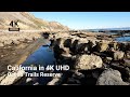 【4K】Seashore Walk along Ocean Trails Reserve | 🌊 | California 4K | ASMR 🎧 Binaural Sound