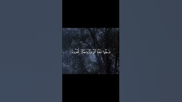 سورة الزخرف الآية ٧٠/Surah Az-Zukhruf, verse 70