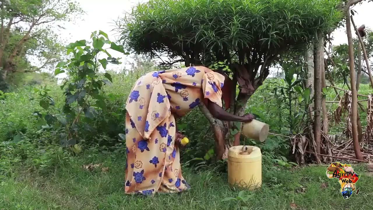 Engrais et amendements, deux intrants importants en agriculture