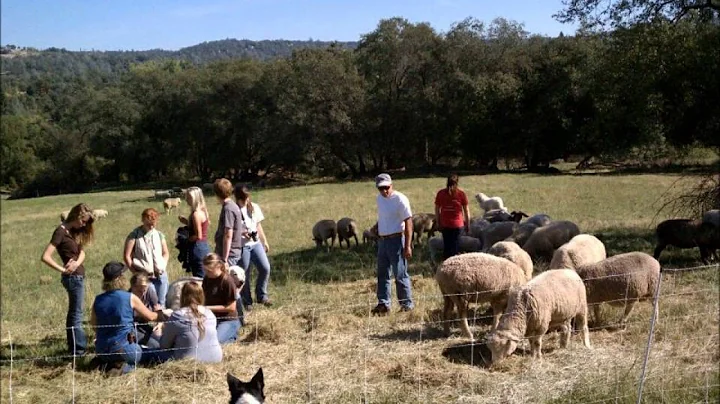 Placer FFA Greenhand Pump-up