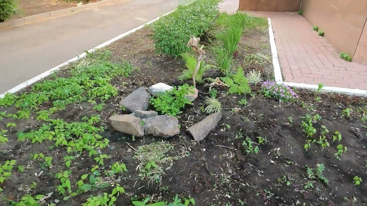 Прогулка по городу Барнаул!!! Алтайский край! Город России!