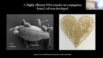 Build-a-Cell seminar Bogumil Karas: Next-Generation Microbes with Synthetic Genomes & Organelles