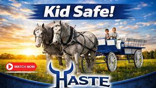 “Real Kid-Safe Draft Horses? Watch This Grey Percheron Team Work!”