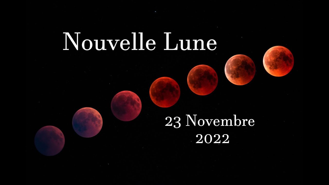 Ton message pour la Nouvelle Lune du 23 Novembre 2022 12 Signes YouTube