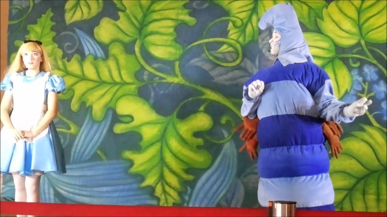 Alice No Pais Das Maravilhas Neia E Nando Youtube Alice No Pais Das Maravilhas Neia E Nando Youtube