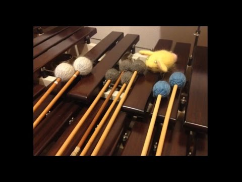 【聖剣伝説2】子午線の祀り【マリンバで演奏してみた】