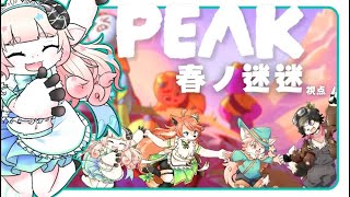 【PEAK/二期生コラボ】インドア、登山する。たすけて同期～～～～～頂を目指したい。【春ノ迷迷/One Lyric】