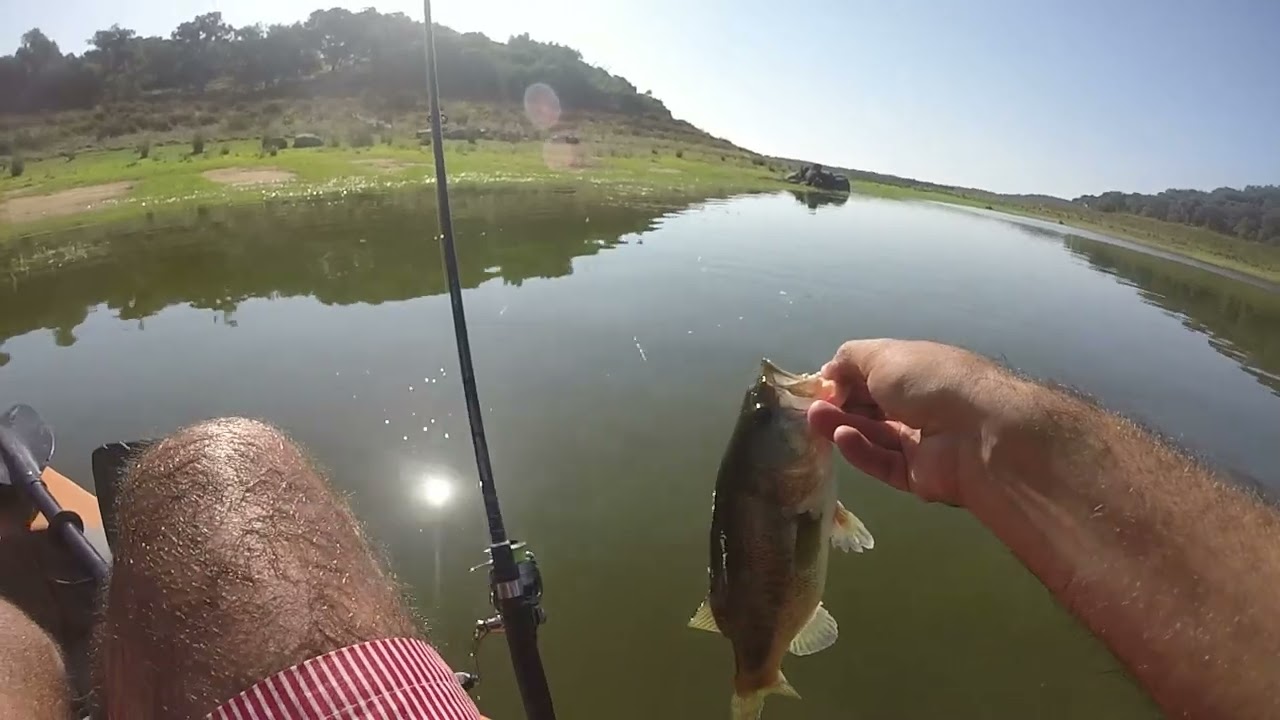 Manha de Achigãs no kayak (Barragem dos Minutos| Morning Kayak Bass fishing (Minutos lake)