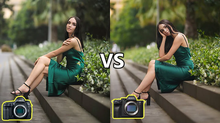 DSLR vs Mirrorless Cameras For Photography (2020) - DayDayNews