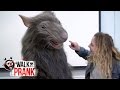 Rat | Walk the Prank | Disney XD