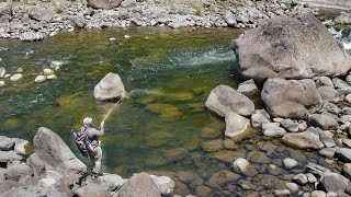 Fly Fishing Best Trout River I’ve ever Seen  Truck Camping