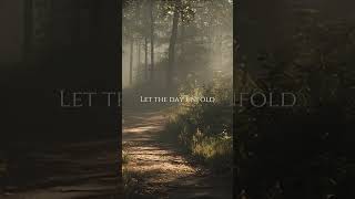 Soft Morning Light 🌤️  Calm Nature