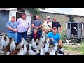 Соревнования голубей Краснодарский край г Абинск. Второй участник Вадим. Pigeon competitions