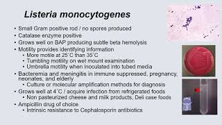 Bacteriology II - Dr. Morgan (Cedars Sinai) #MICROBIOLOGY