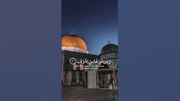 قل أعوذ برب الفلق 🥀ماهر المعيقلي تلاوة خاشعة حالات واتس اب قرآن كريم