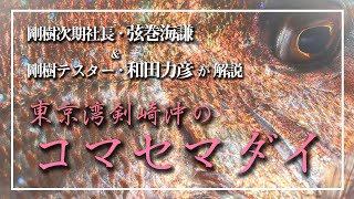 【釣り方解説！】東京湾・剣崎沖のコマセマダイ／二人のエキスパートが丁寧に紹介!!