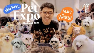 พาเดินเล่นงาน Pet Expo Thailand 2023 - มหึหมา EP170