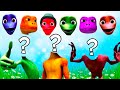 Wrong head dame tu cosita vs patila challenge alien green chombo dance wrong heads