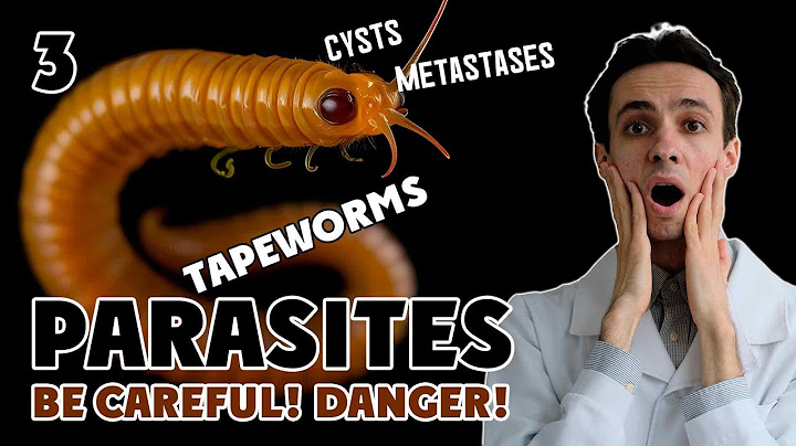 Dangerous asymptomatic parasitic infections. Cysts and parasitic cancer. Meat, dirty hands and pets
