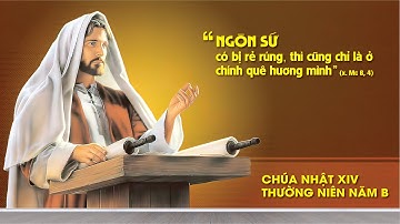 Trực tiếp: Thánh lễ Chúa nhật - tuần XIV thường niên.