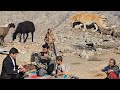 Nomadic Life: Kind People Help Nomads: Kind People Help Nomad Family💞👨👩👦👦
