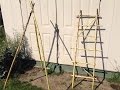 EZ How to Make a Trellis From Old Sunflower Stalks | MIgardener EZ How to Make a Trellis From Old Sunflower Stalks | MIgardener