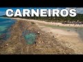 Praia dos CARNEIROS - Tamandaré - Pernambuco - Una de las MEJORES playas de Brasil 4K