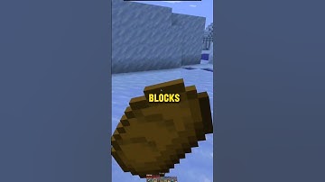 Walking 1 block in minecraft for each follower until 1 million blocks Day 20 #minecraft #gaming