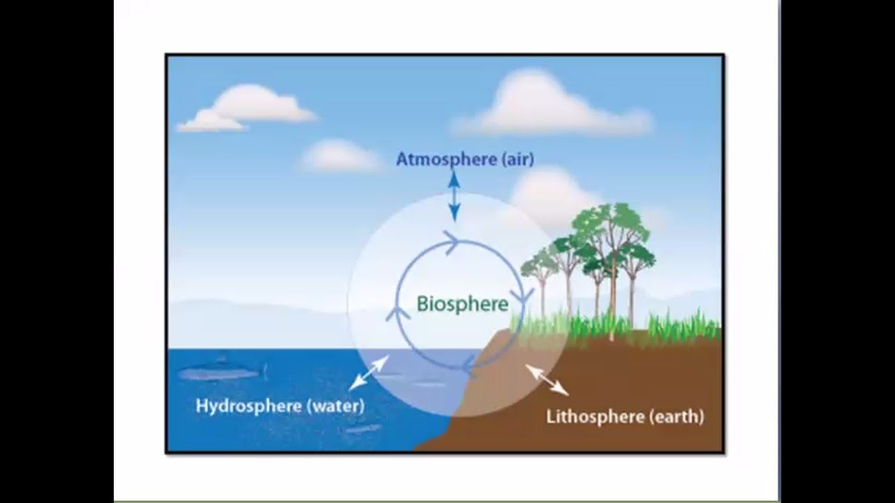 Hydrosphere structure. Biosphere structure. Atmosphere hydrosphere cryosphere biosphere geosphere. The term biosphere was coined. The term biosphere was coined.