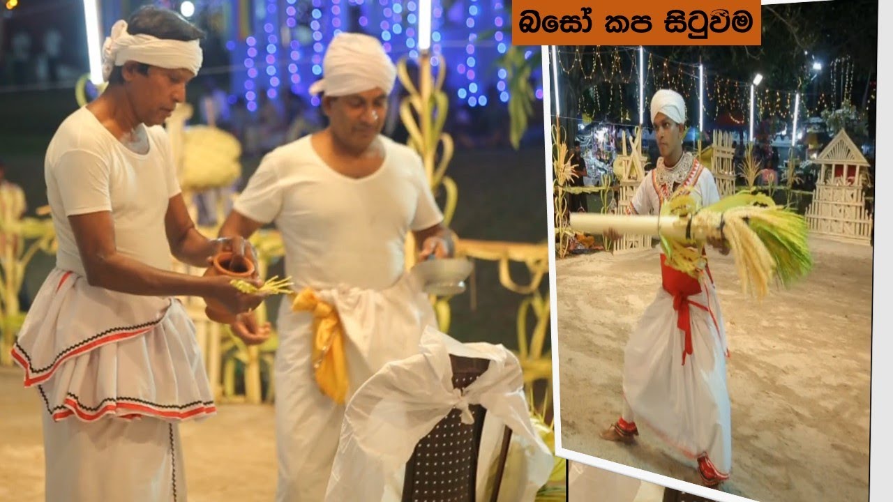 2025 [බිසෝ කප සිටුවීම]Birth Story Of Biso Kapa /බිසෝ කපේ උප්පත්ති කතාව ...