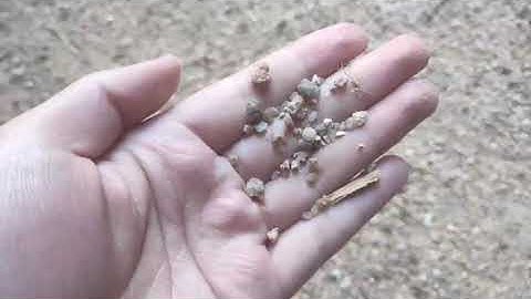 ECE6002 DIGITAL PRESENTATION